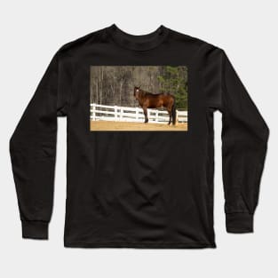 bay horse Long Sleeve T-Shirt